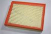 GM 09201929 Air Filter